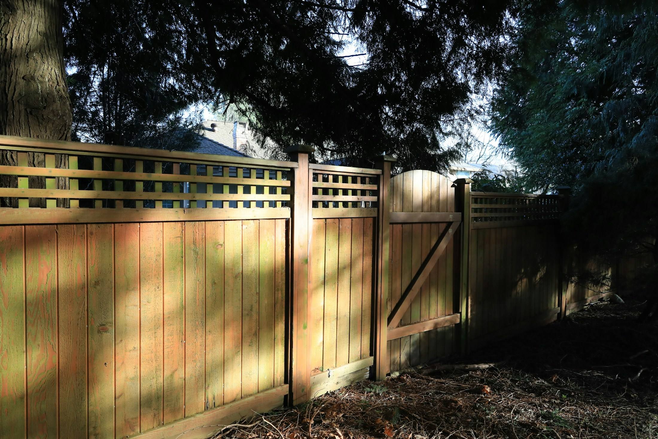 Wood privacy fence with lattice top in late-afternoon light